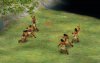 boomerang_82S.jpg