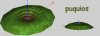 puquios_1X8.jpg
