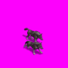 gwolfpack_preview_1QX.gif