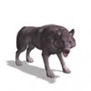 gdirewolf_large_693.jpg