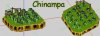 chinampa_p23.jpg