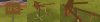 civ4screenshot0000_93m.jpg