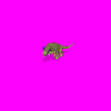 calot_U48.gif