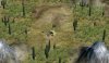 peyote_01k.jpg