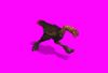 brutornis_87g.gif