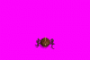 small_3IC.gif