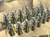 ararm1_L5r.jpg