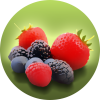 berries_0Ne.png
