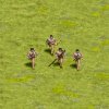 tribal_asian_fourwarrior_R15.jpg