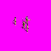 tribal_asian_fourwarrior_1PF.gif