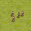 tribal_mediterranean_four_53t.jpg