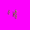 tribal_mediterranean_four_l4Z.gif