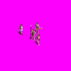 tribalfourrom_6CS.gif
