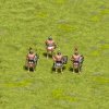 bronze_mycenean_RY4.jpg