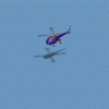 wasp_4XN.gif