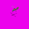 fl282_gFi.gif