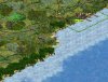 mangroves_SG0.jpg