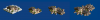 agia_9jH.png