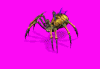 arachne1_jV1.gif