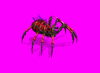 arachne2_pf1.gif