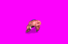 pinkydemon_450.gif