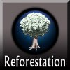 reforest_steam_icon_A2N.jpg