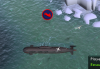 akula_AZA.png