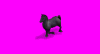 horseblack_oL2.gif