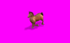 horselightbrown_o25.gif