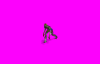 zombienew_mI0.gif