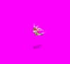 fairyb1_pQn.gif