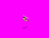 fairyblack_6lK.gif