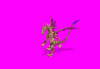 bonedragon_0CV.gif