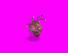 beholder3_RjB.gif