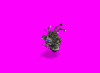 beholderboss_85l.gif