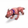 demondog_lg_P8x.jpg