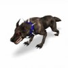 hellhound_lg_zvx.jpg