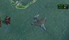 harrier_CZr.png