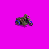 mt_72_pZy.gif