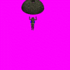 special_forces_40R.gif