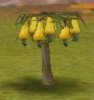 civ4screenshot0002_hC3.jpg