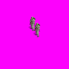 m_italian_early_2kC.gif