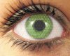 eyesolation_362.jpg