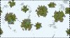 worldbuilder___tiny1_IH6.jpg