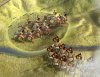 inca_atlatlist1_L62.jpeg