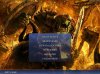 ciw_menu_xnk_pLK.jpg