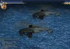 3_b24.jpg