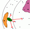 aphraea.GIF
