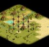 chaos forest to be.JPG