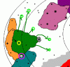 aphraean.GIF